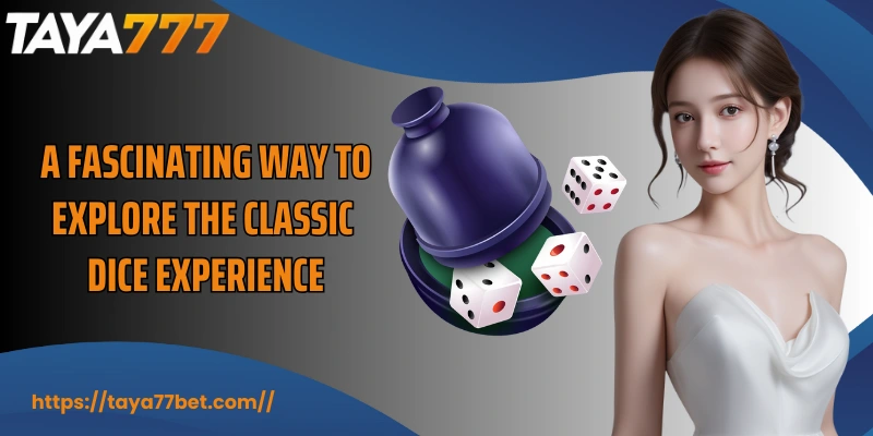 A fascinating way to explore the classic dice experience