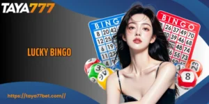 Lucky Bingo - A Colorful Journey Of Fun, And Connection