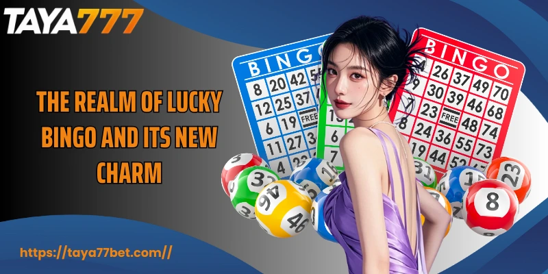 The realm of Lucky Bingo and its new charm