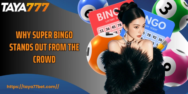 Why Super Bingo stands out from the crowd