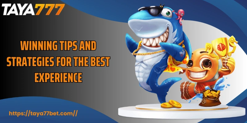 Winning tips and strategies for the best experience