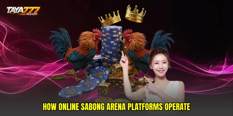 How Online sabong arena platforms operate